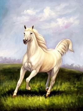 unknow artist Horses 021 oil painting image